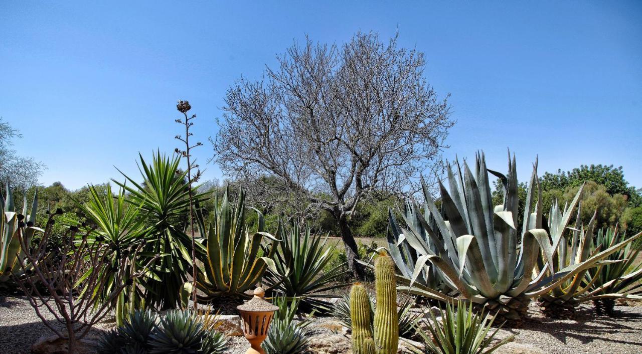 Finca Casa Mas Santanyí Exteriör bild