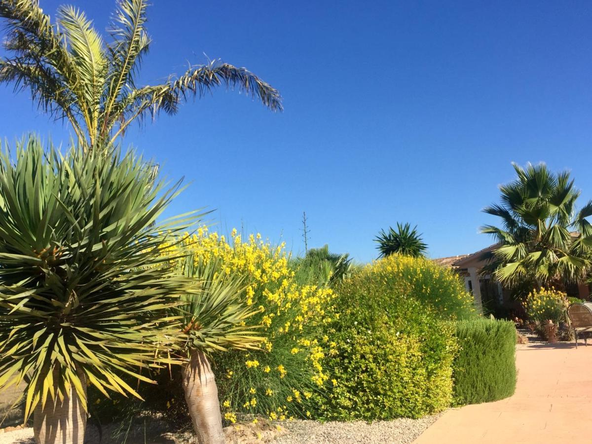 Finca Casa Mas Santanyí Exteriör bild
